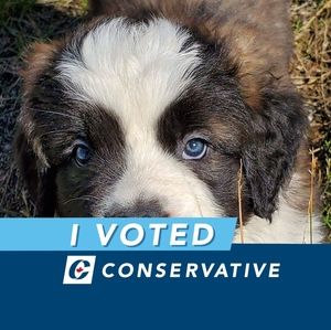 Meet your Posher, Cara